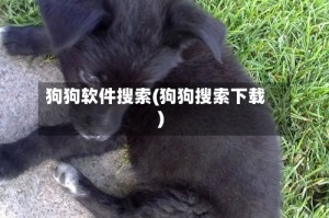 狗狗软件搜索(狗狗搜索下载)