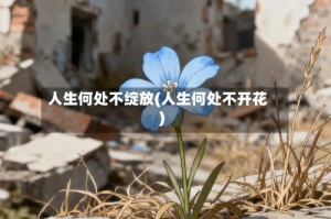 人生何处不绽放(人生何处不开花)