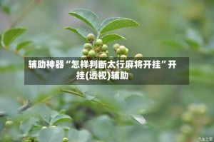 辅助神器“怎样判断太行麻将开挂”开挂(透视)辅助