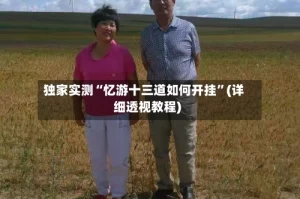 独家实测“忆游十三道如何开挂”(详细透视教程)
