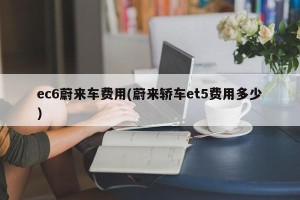 ec6蔚来车费用(蔚来轿车et5费用多少)