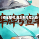【查车型号,查车型号怎么查】