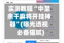 实测教程“中至余干麻将开挂神器”(曝光透视必备猫腻)