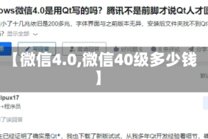 【微信4.0,微信40级多少钱】