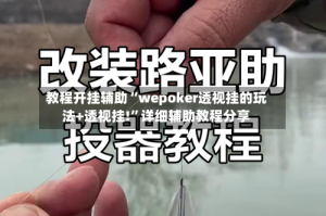 教程开挂辅助“wepoker透视挂的玩法+透视挂!”详细辅助教程分享