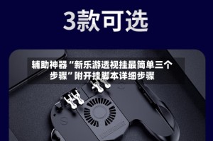辅助神器“新乐游透视挂最简单三个步骤”附开挂脚本详细步骤
