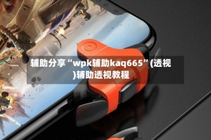 辅助分享“wpk辅助kaq665”(透视)辅助透视教程