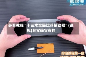 必看教程“十三水全民比鸡辅助器”(透视)其实确实有挂