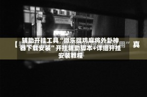辅助开挂工具“微乐捉鸡麻将外卦神器下载安装”开挂辅助脚本+详细开挂安装教程