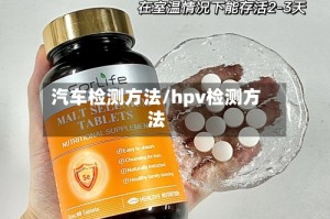 汽车检测方法/hpv检测方法