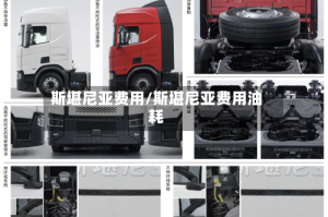 斯堪尼亚费用/斯堪尼亚费用油耗