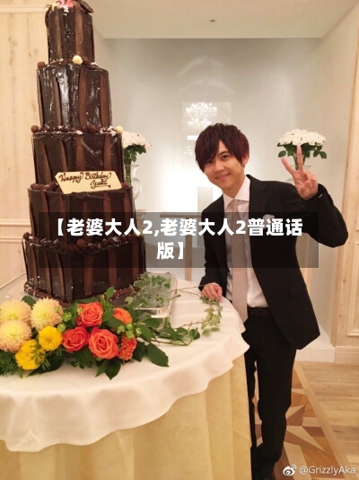 【老婆大人2,老婆大人2普通话版】-第3张图片