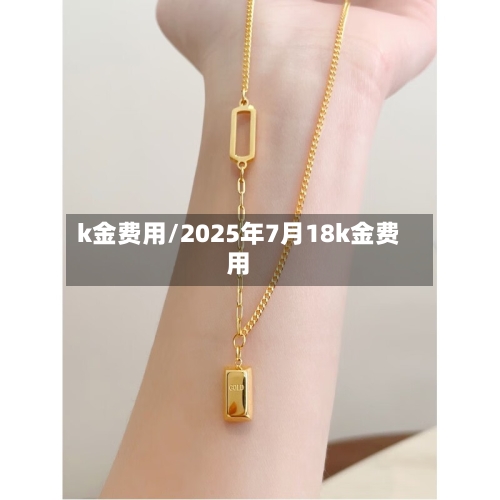 k金费用/2025年7月18k金费用-第2张图片