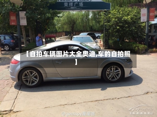 【自拍车辆图片大全奥迪,车的自拍照】-第3张图片