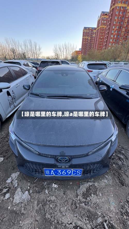 【琼是哪里的车牌,琼a是哪里的车牌】-第3张图片