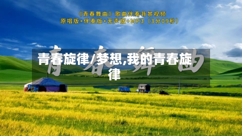 青春旋律/梦想,我的青春旋律-第2张图片