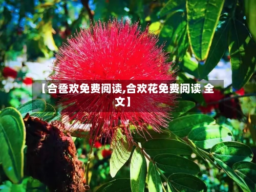 【合卺欢免费阅读,合欢花免费阅读 全文】-第2张图片