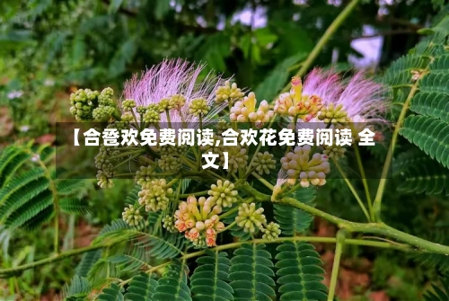 【合卺欢免费阅读,合欢花免费阅读 全文】-第3张图片