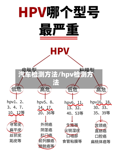 汽车检测方法/hpv检测方法-第2张图片