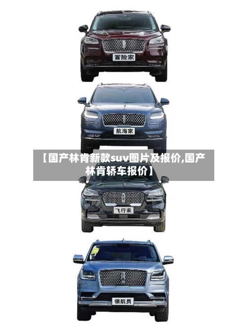 【国产林肯新款suv图片及报价,国产林肯轿车报价】-第2张图片