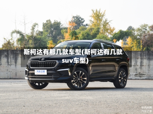 斯柯达有那几款车型(斯柯达有几款suv车型)-第2张图片