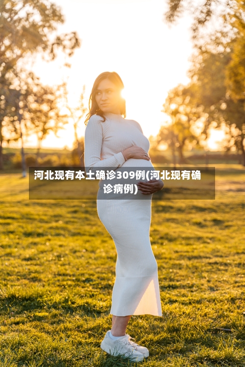 河北现有本土确诊309例(河北现有确诊病例)-第3张图片