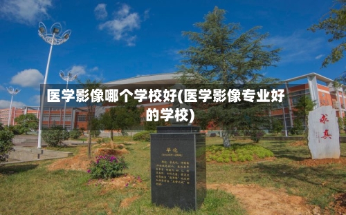 医学影像哪个学校好(医学影像专业好的学校)-第1张图片