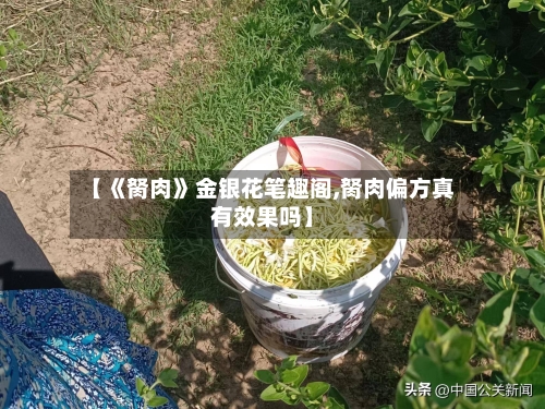 【《胬肉》金银花笔趣阁,胬肉偏方真有效果吗】-第1张图片