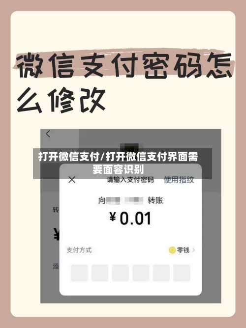 打开微信支付/打开微信支付界面需要面容识别-第1张图片