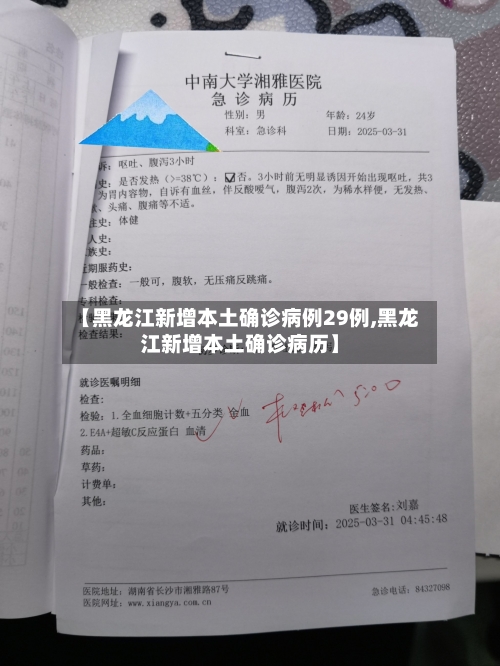 【黑龙江新增本土确诊病例29例,黑龙江新增本土确诊病历】-第2张图片