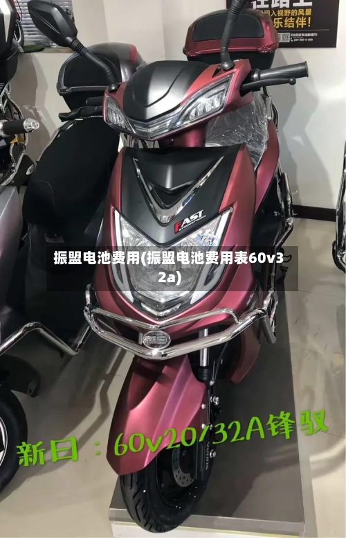 振盟电池费用(振盟电池费用表60v32a)-第2张图片