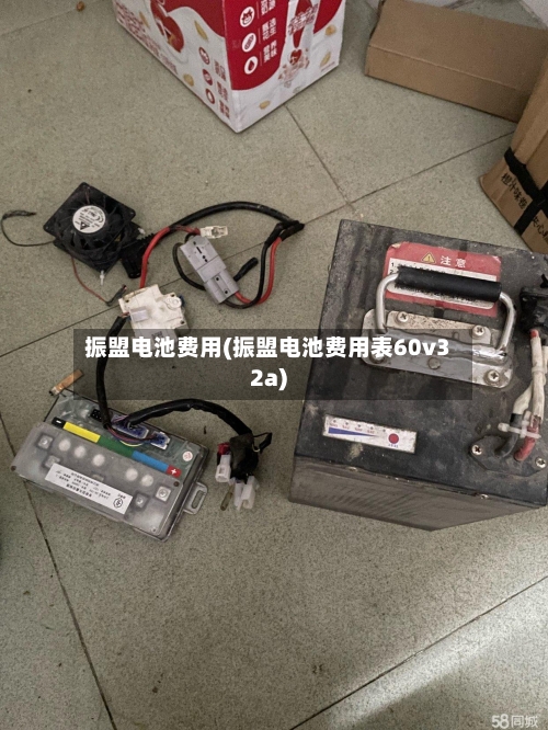 振盟电池费用(振盟电池费用表60v32a)-第1张图片