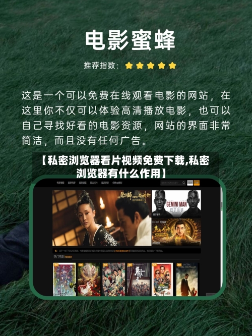 【私密浏览器看片视频免费下载,私密浏览器有什么作用】-第3张图片