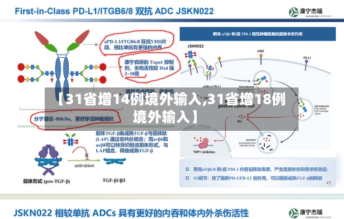 【31省增14例境外输入,31省增18例境外输入】-第1张图片
