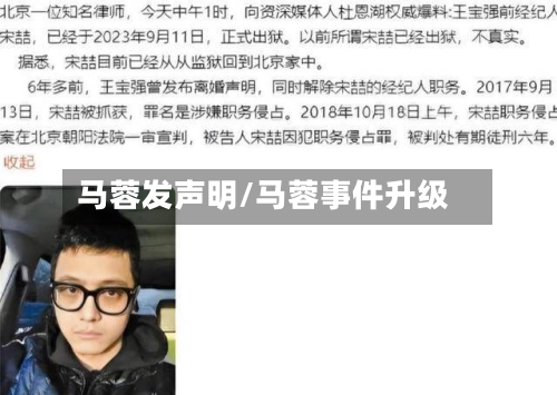 马蓉发声明/马蓉事件升级-第3张图片