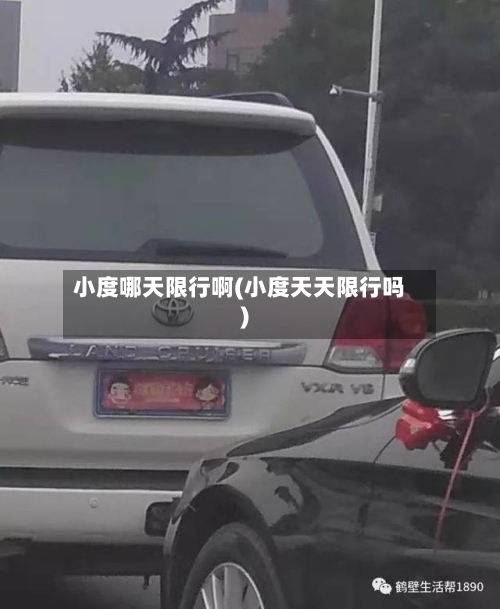 小度哪天限行啊(小度天天限行吗)-第1张图片