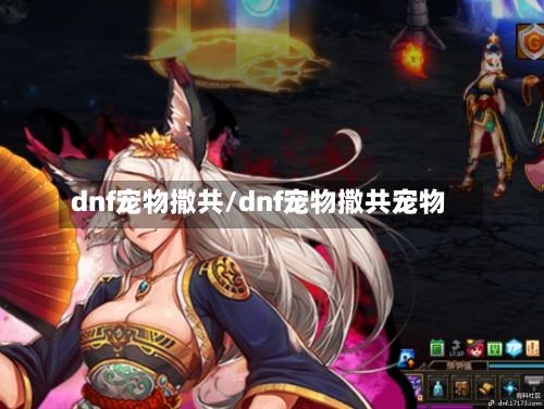 dnf宠物撒共/dnf宠物撒共宠物-第3张图片