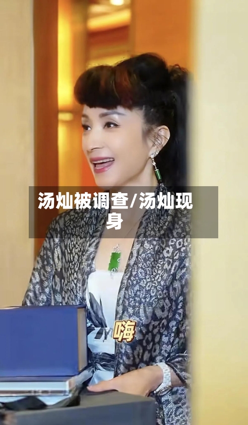 汤灿被调查/汤灿现身-第2张图片