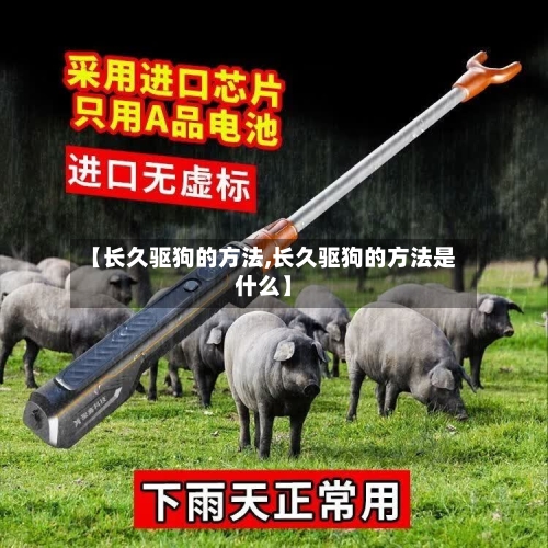 【长久驱狗的方法,长久驱狗的方法是什么】-第3张图片