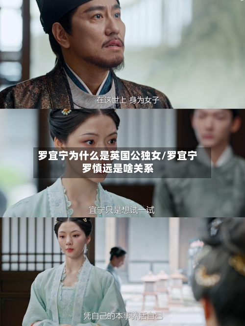 罗宜宁为什么是英国公独女/罗宜宁罗慎远是啥关系-第3张图片