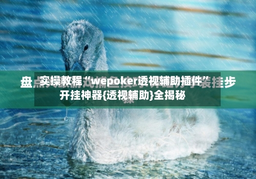 实操教程“wepoker透视辅助插件”开挂神器{透视辅助}全揭秘-第2张图片