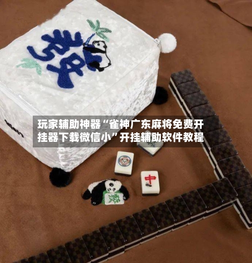 玩家辅助神器“雀神广东麻将免费开挂器下载微信小”开挂辅助软件教程-第3张图片