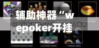 辅助神器“wepoker开挂透视方法教程”科技辅助神器手机版教程-第1张图片