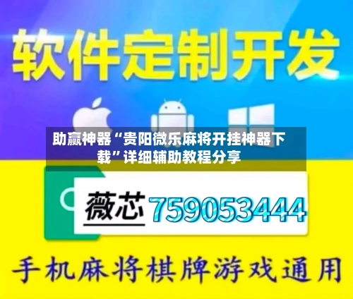 助赢神器“贵阳微乐麻将开挂神器下载”详细辅助教程分享-第3张图片