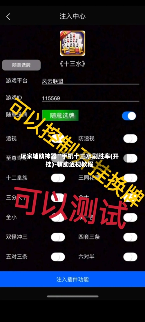 玩家辅助神器“手机十三水刷胜率(开挂)-辅助透视教程-第2张图片