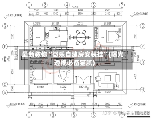 最新教你“微乐自建房安装挂	”(曝光透视必备猫腻)-第2张图片