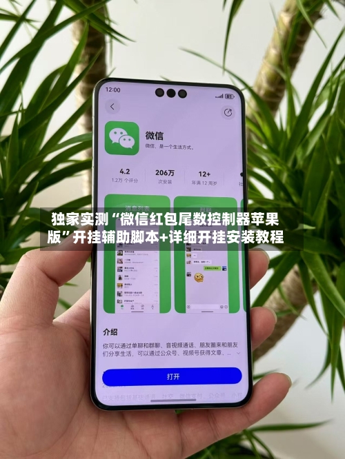 独家实测“微信红包尾数控制器苹果版	”开挂辅助脚本+详细开挂安装教程-第1张图片