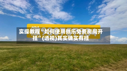 实操教程“如何使用微乐免费房间开挂”(透视)其实确实有挂-第2张图片