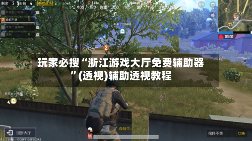 玩家必搜“浙江游戏大厅免费辅助器	”(透视)辅助透视教程-第3张图片