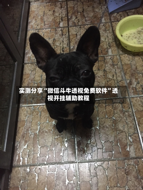 实测分享“微信斗牛透视免费软件”透视开挂辅助教程-第3张图片